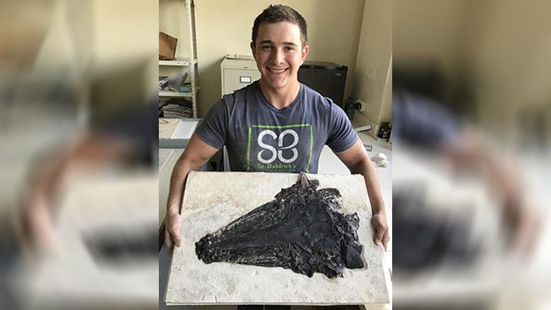 Estudiante de secundaria de California descubre un fósil raro: el ...