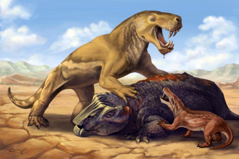 Giant Gorgonopsian Inostrancevia With Dicynodont Prey
