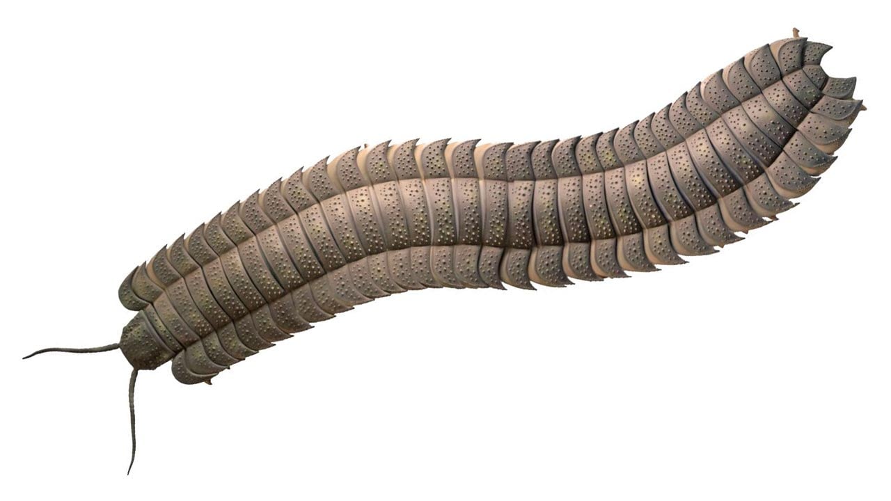 Giant Millipedes “As Big as Cars” Once Roamed Northern England – “Complete Fluke of a Discovery” thumbnail