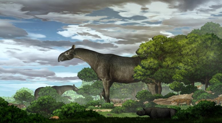 Giant Rhinos Ecological Reconstruction