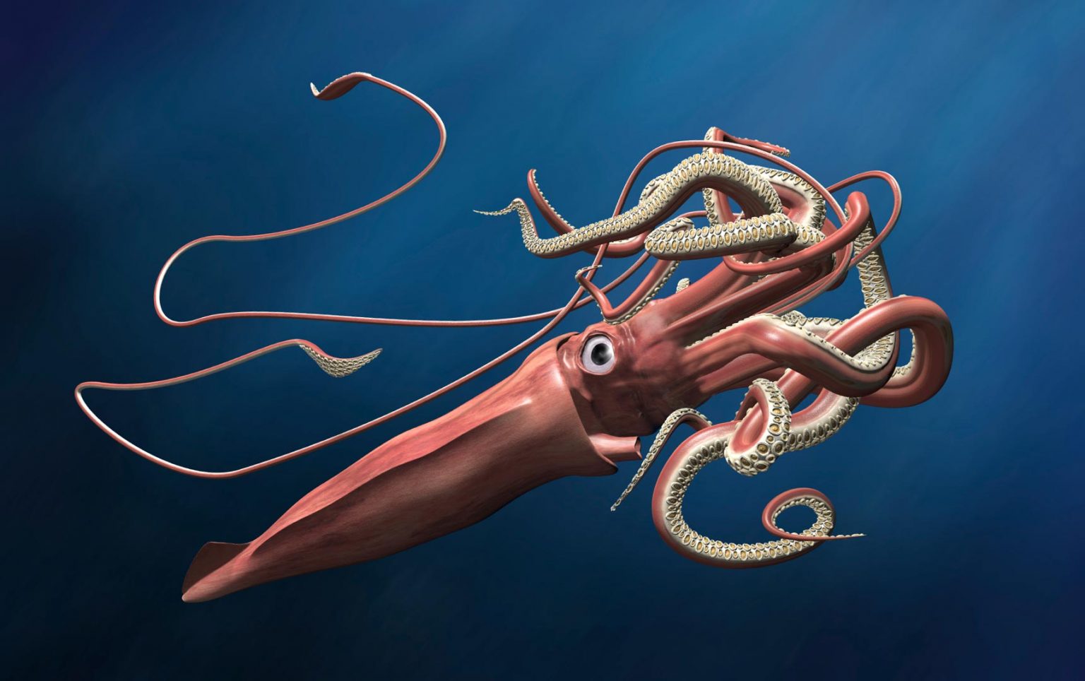 giant squid studios the pathless