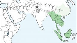 Gibbon Migration Map