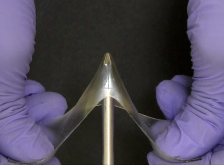 Glassy Gels Are Both Hard and Stretchable