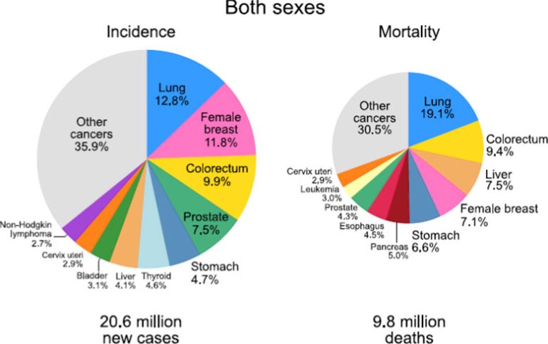 Recent Cancer Statistics Global Cancer Cases Could Surge 67% by 2050, New Report Warns