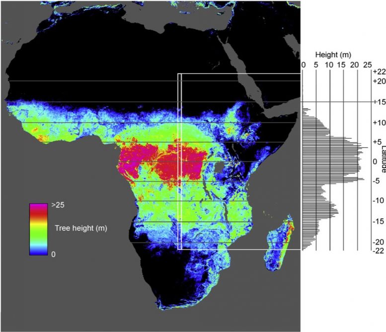 Global Ecosystem Dynamics Investigation Africa
