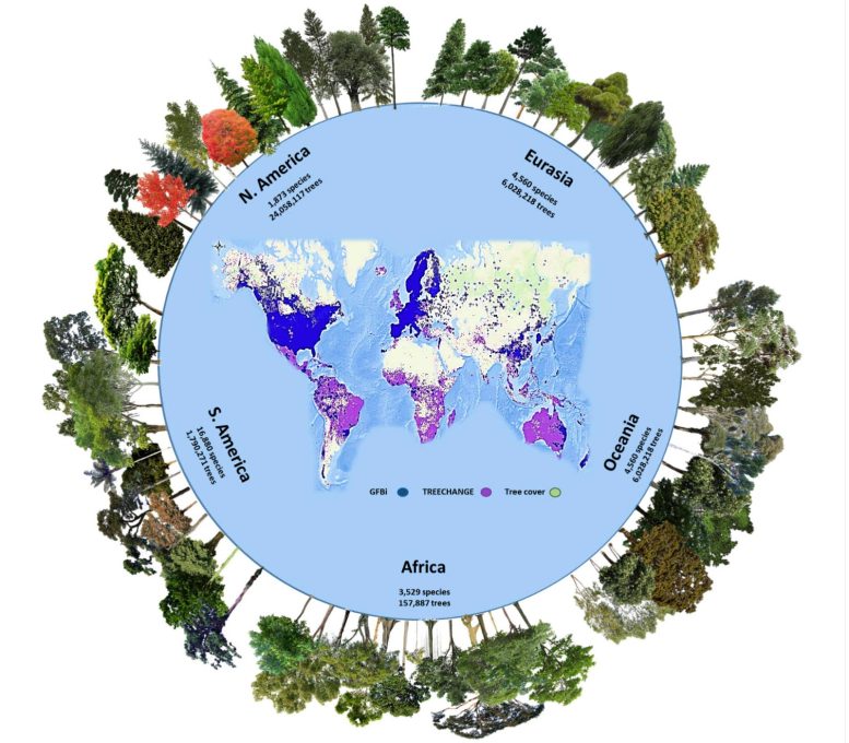 Global Forest Biodiversity Initiative Database