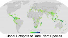 Global Hotspots of Rare Plant Species