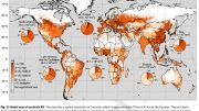 Global Map of Pesticide RS