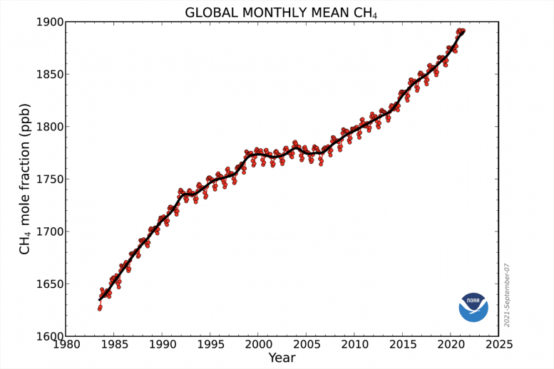 Global Monthly Atmospheric Methane