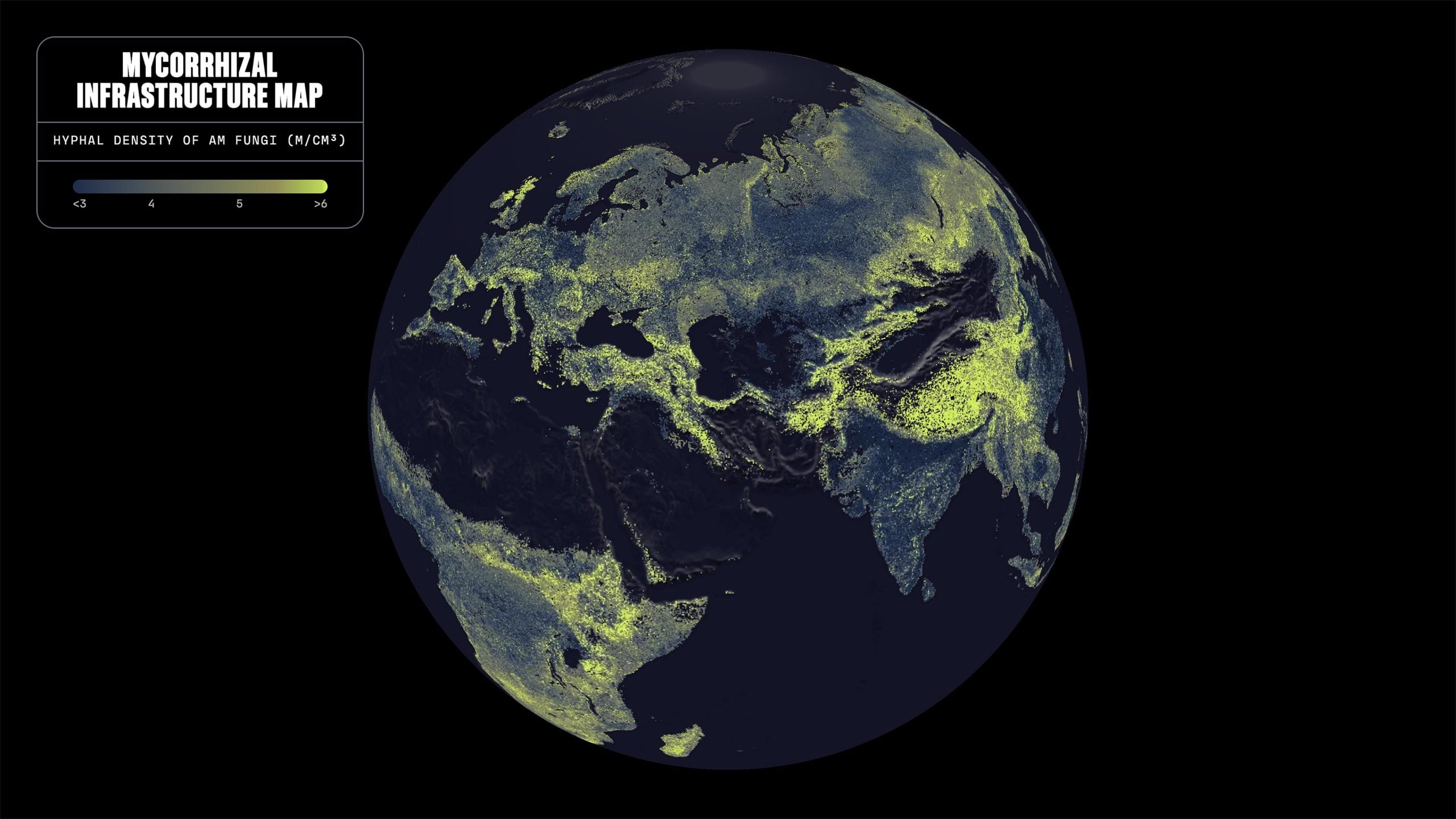 68 Quadrillion Miles: Scientists Map Earth’s Vast Hidden Fungal Network for the First Time