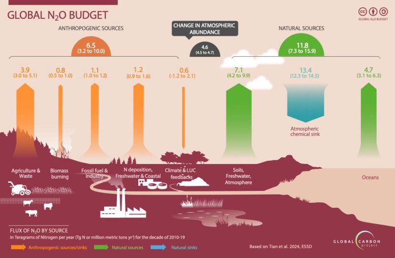 Global Nitrous Oxide Budget