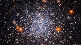 Globular Cluster NGC 1651