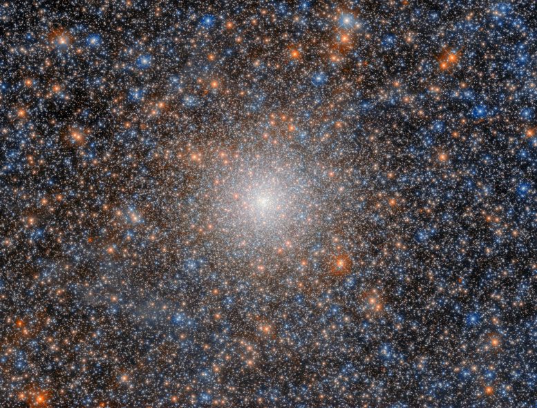 Globular Cluster NGC 2005
