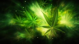 Glowing Cannabis Weed