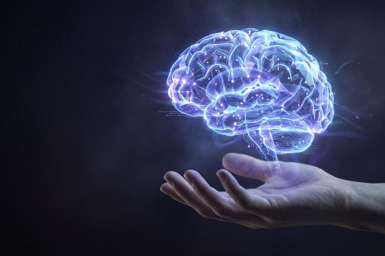 Rewriting the Rules: Scientists Solve an Episodic Memory Mystery