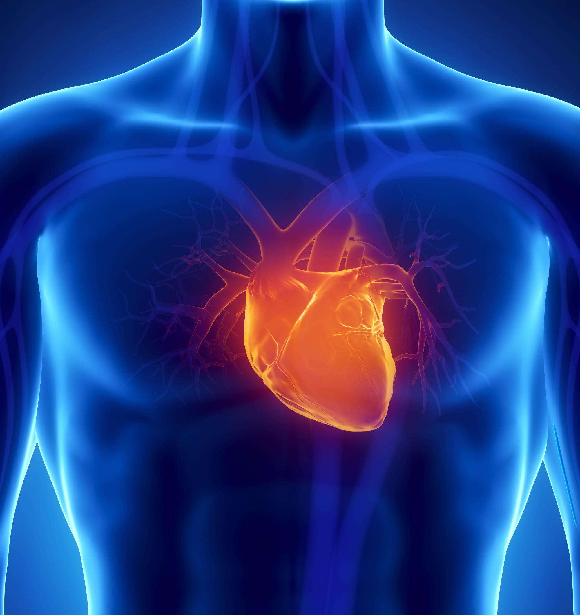 “Remarkable” Results – Scientists Discover That a Dietary Supplement Could Fix a Broken Heart - SciTechDaily