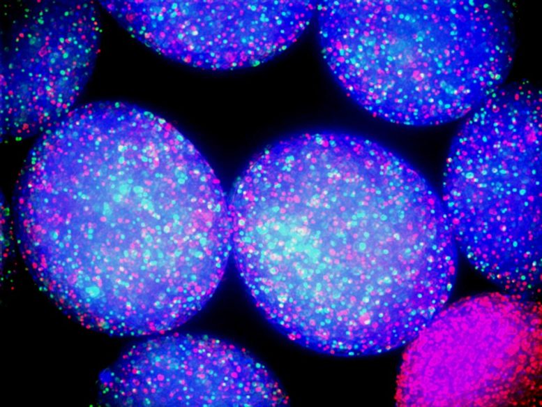 Glowing Microbes in Blue Sphere