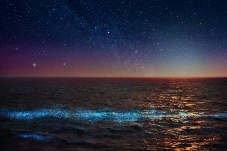 Glowing Phytoplankton Ocean