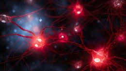 Glowing Red Neurons Dementia