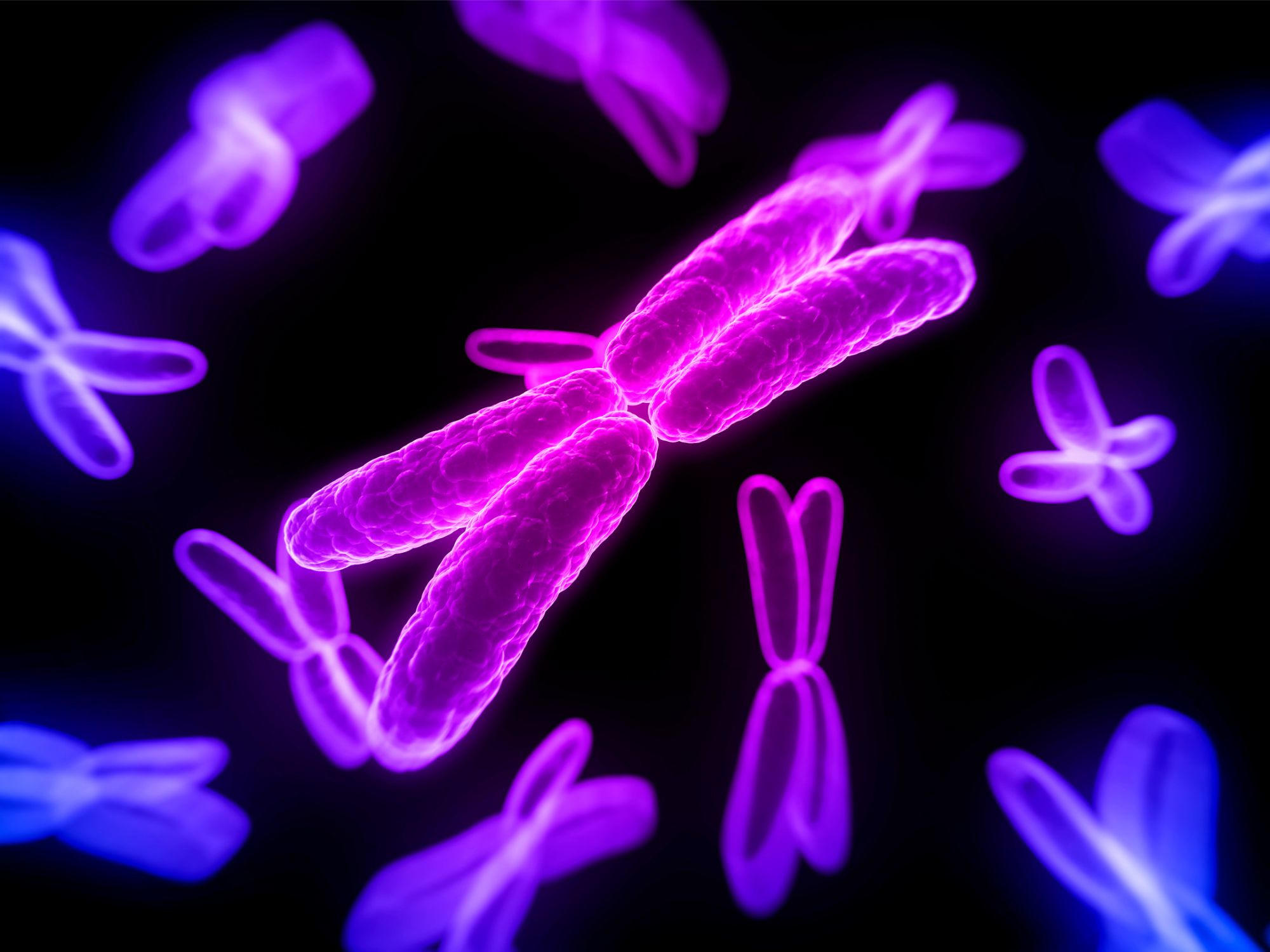 Glowing X Chromosomes