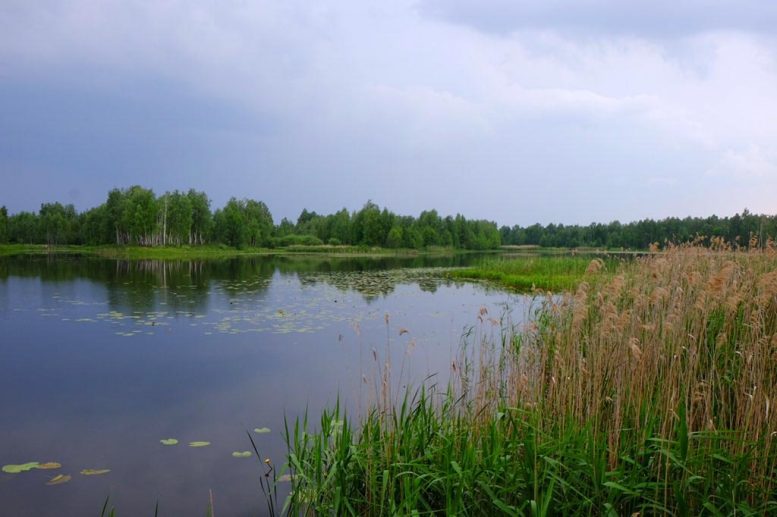 Glyboke Lake Chernobyl Exclusion Zone