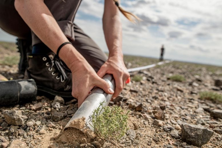 Gobi Desert Soil Sampling