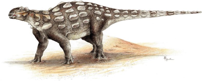 Gobisaurus