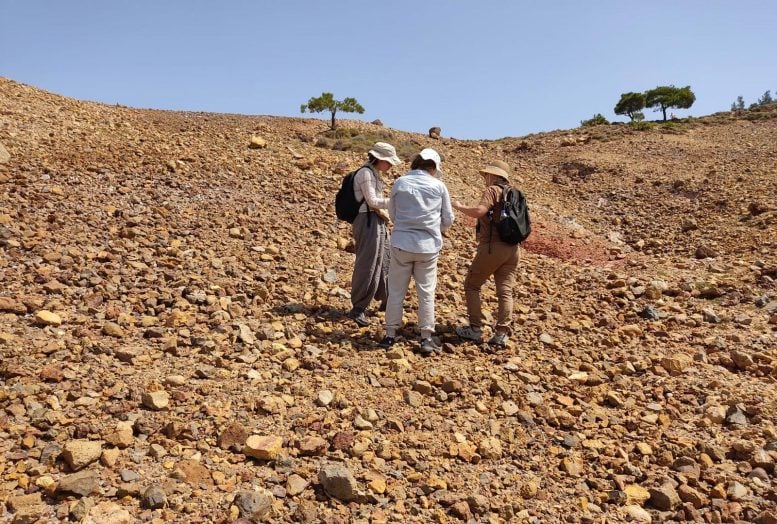Göknur ، Kadriye و Hande Survey Field در شیب صخره ای