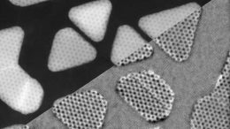 Gold Atoms Two-Dimensional Molybdenum Sulfide