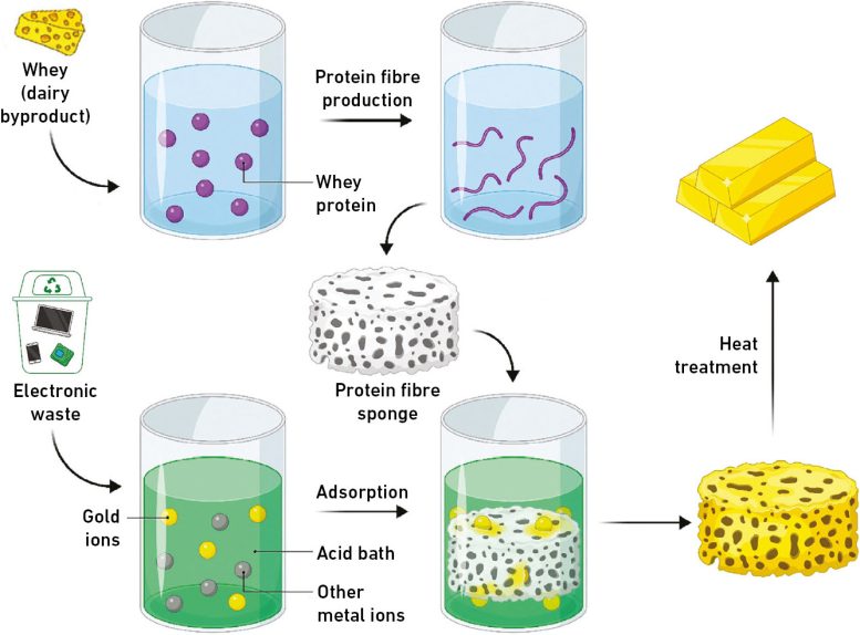 Gold Ions Adhere to a Sponge of Protein Fibrils Graphic