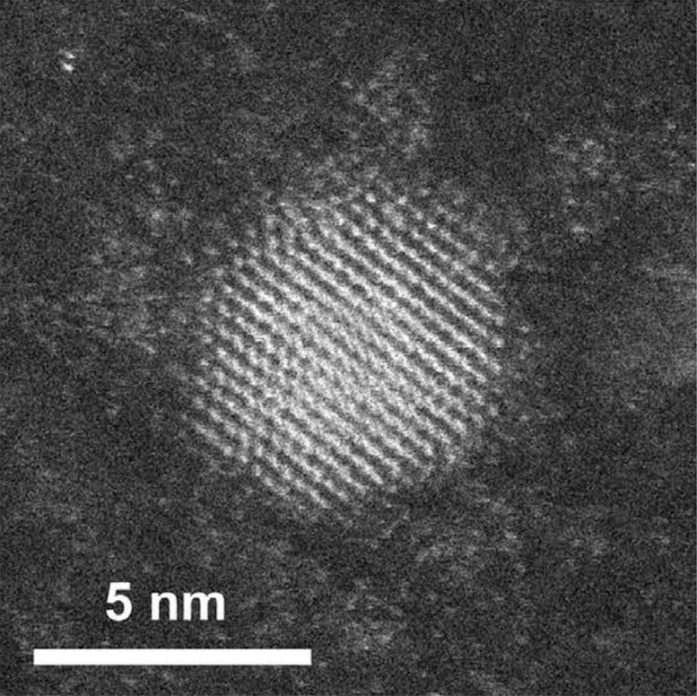 Gold Nanoparticle Annular Dark-Field Scanning Transmission Electron Microscopy