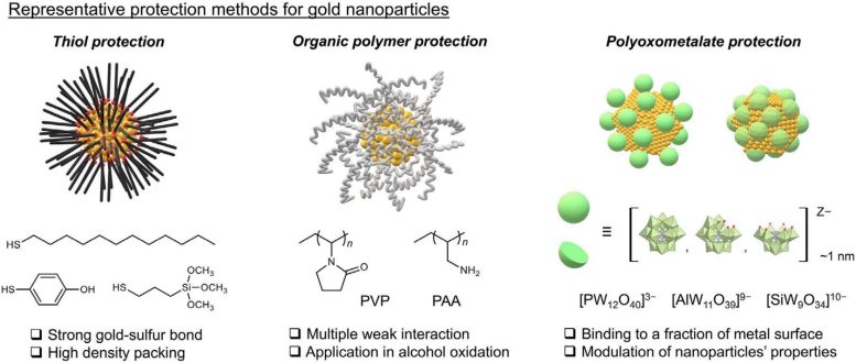 Comparaison des nanoparticules d'or