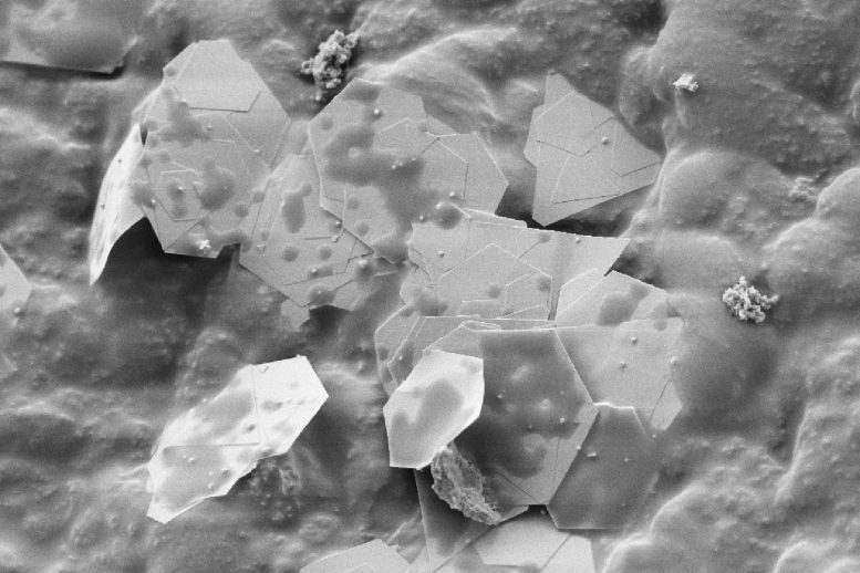 Gold Nanoplatelets Embedded in Latex Matrix