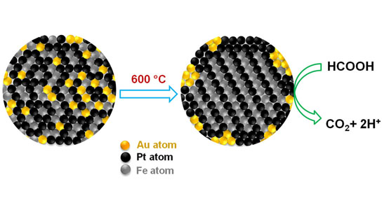 Gold atoms create orderly places for iron and platinum atoms, then retreat to the periphery of the fuel cell