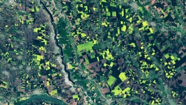 Romania’s Fields of Gold Captured From Space