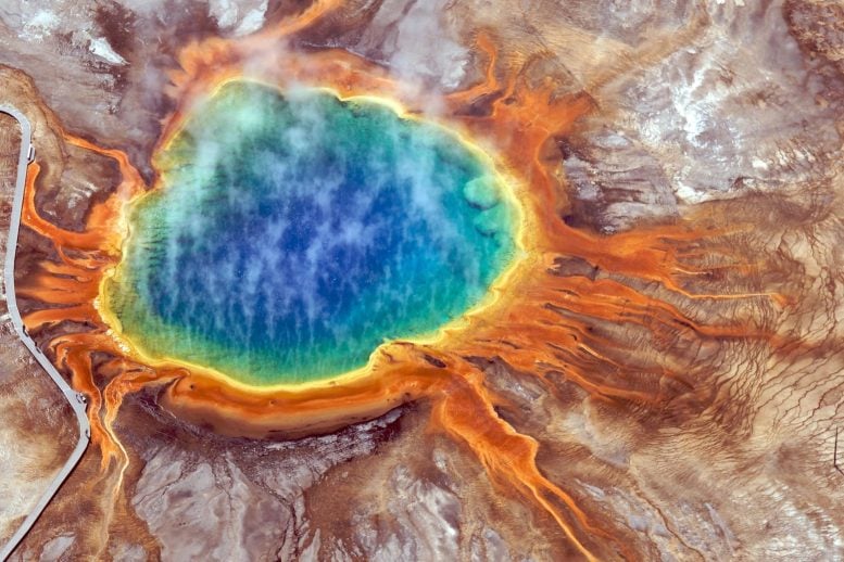 Grand Prismatic Hot Spring Yellowstone National Park