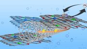 Graphene Carbon Nanotube Catalyst