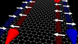 Graphene Effectively Filters Electrons According to the Direction of Their Spin
