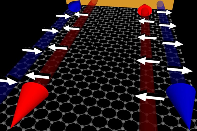 Graphene Effectively Filters Electrons According to the Direction of Their Spin