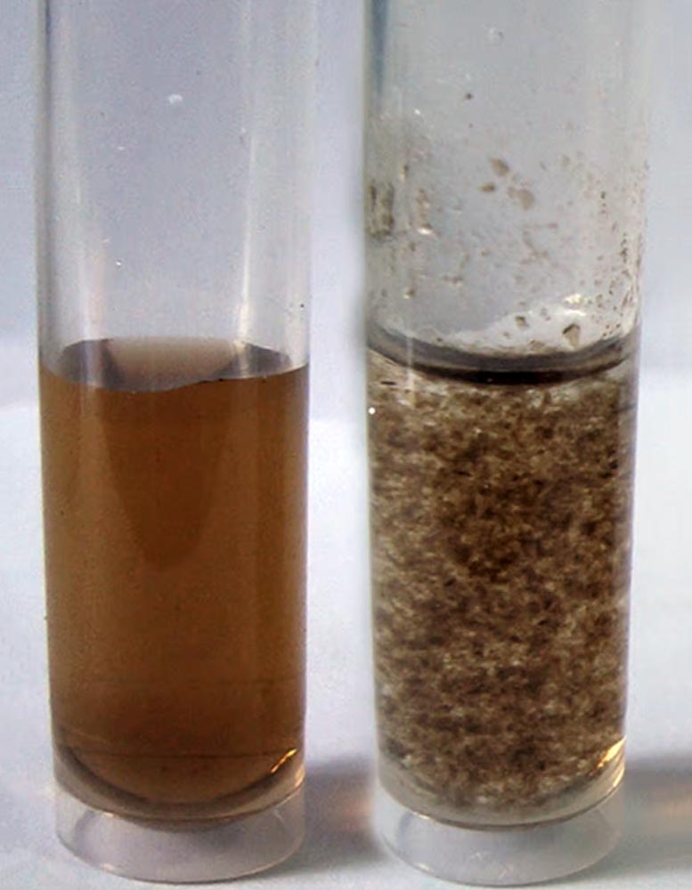 Graphene Oxide Removes Radioactive Waste From Water