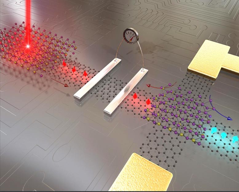Graphene Spintronics