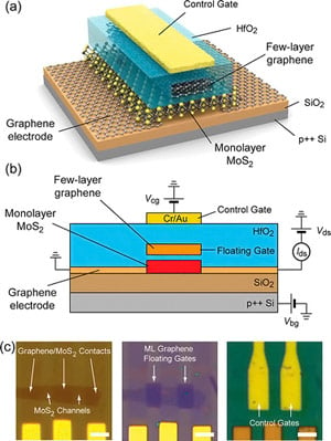 Graphene and Molybdenite Combined for Flash Memory
