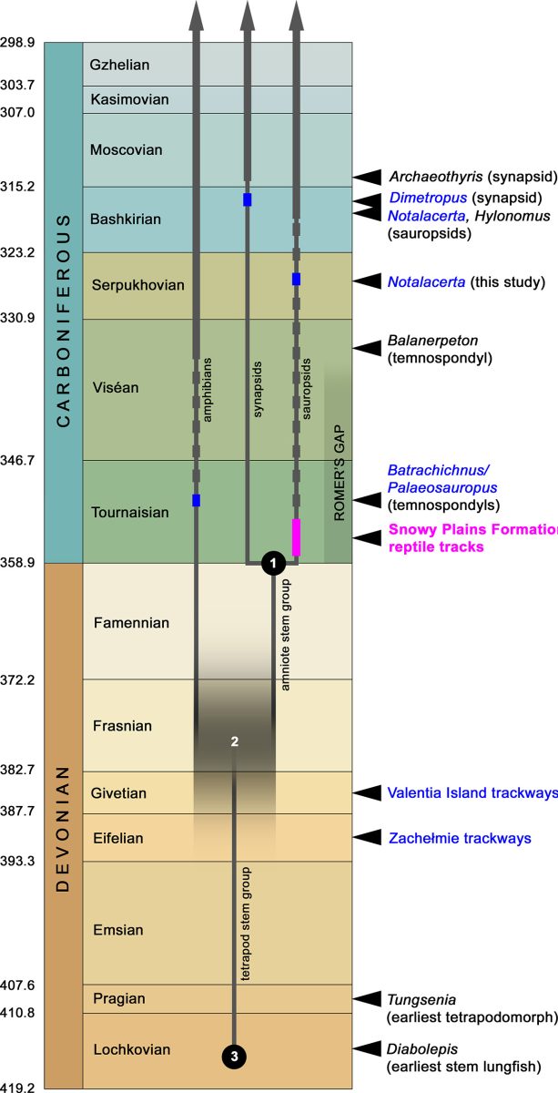Graphic Depicting the Age Range of the Slabs Where the Fossil Trackways Were Found