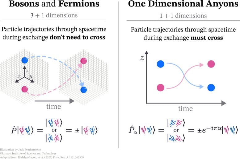 Graphic Illustration of Bosons Fermions and Anyons