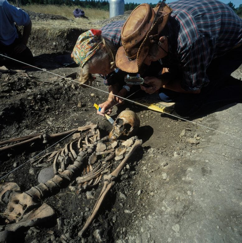 Grave Excavation Ajvide, Gotland, Sweden