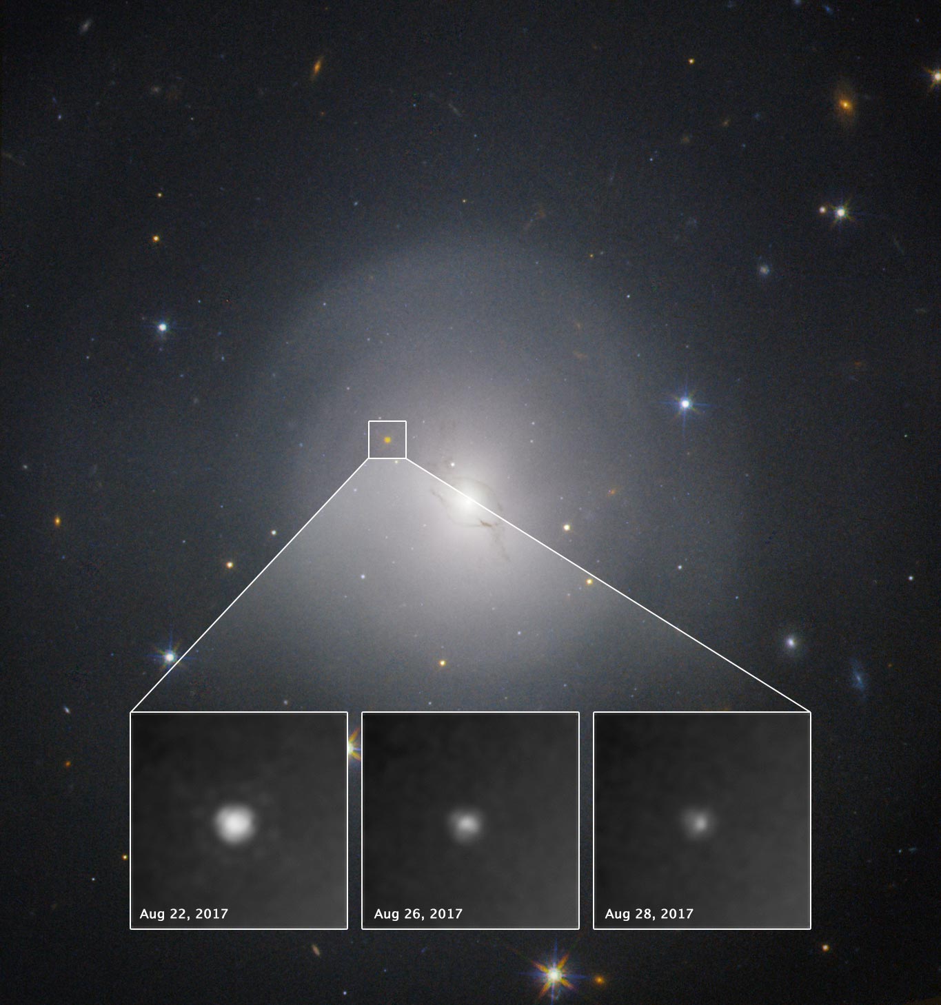 Doomed Neutron Stars Create Blast of Light and Gravitational Waves animated  gif