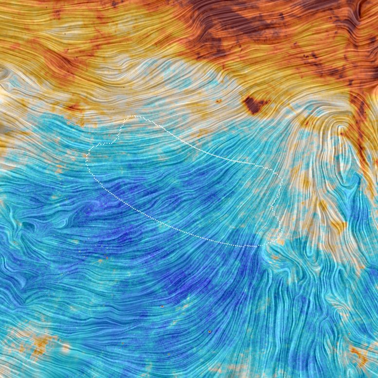 Gravitational Waves from Early Universe Remain Elusive