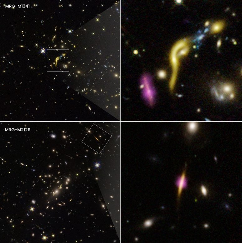Galaxies à lentilles gravitationnelles REQUIEM