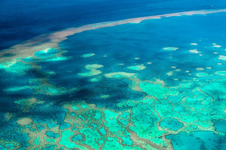 Great Barrier Reef Aerial View