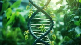 Green DNA Plants